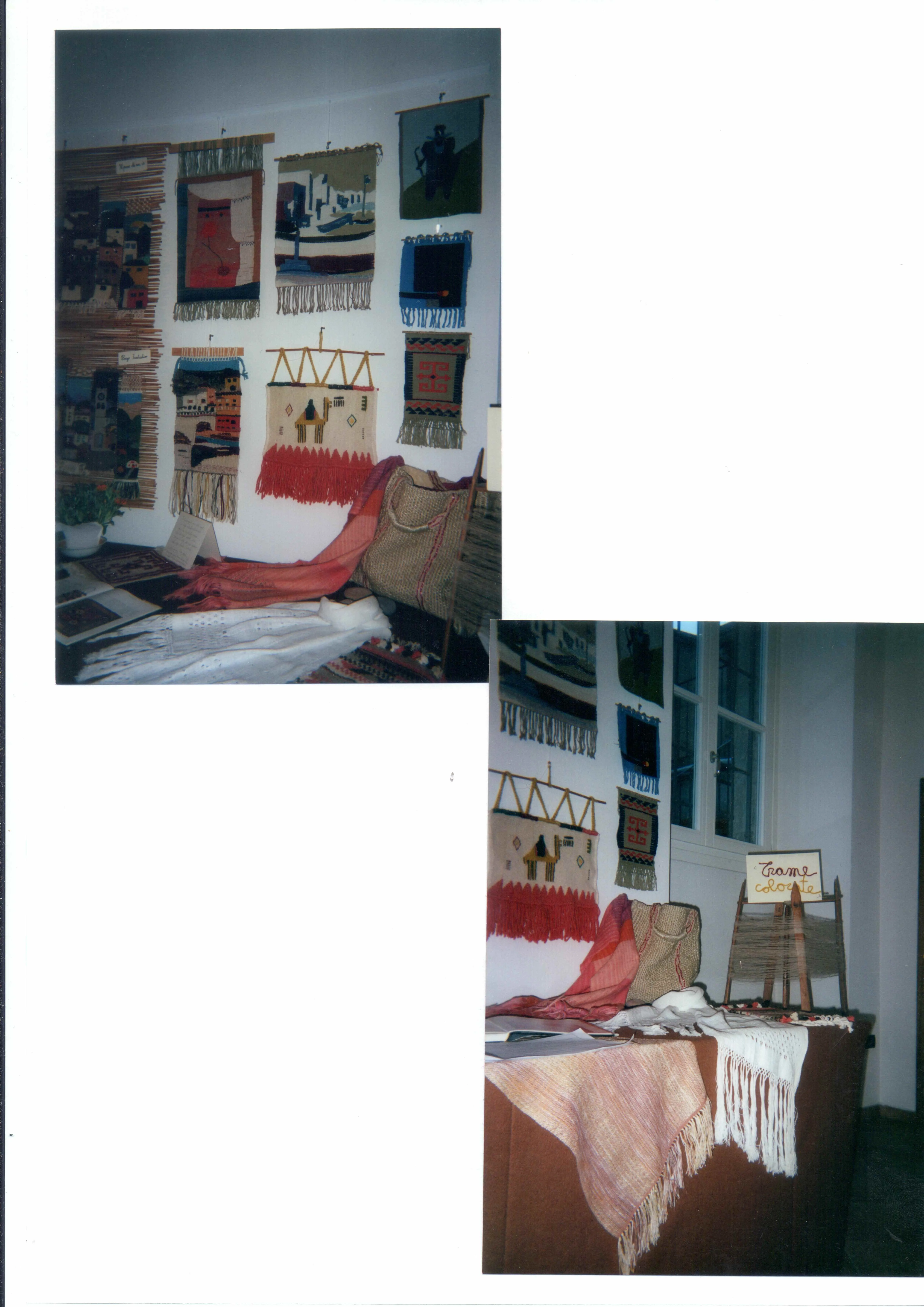 Trame colorate — Album 2006 — immagine 4
