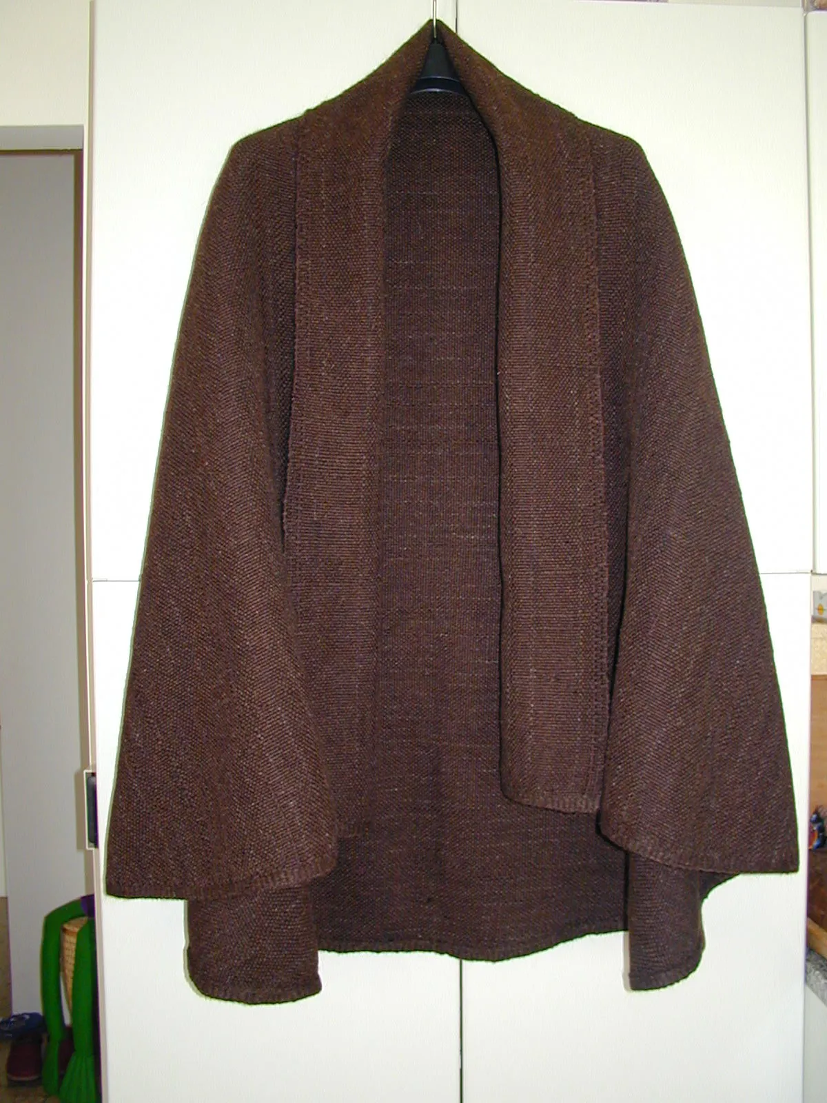 Terramara di Montale — 2004 — immagine 14