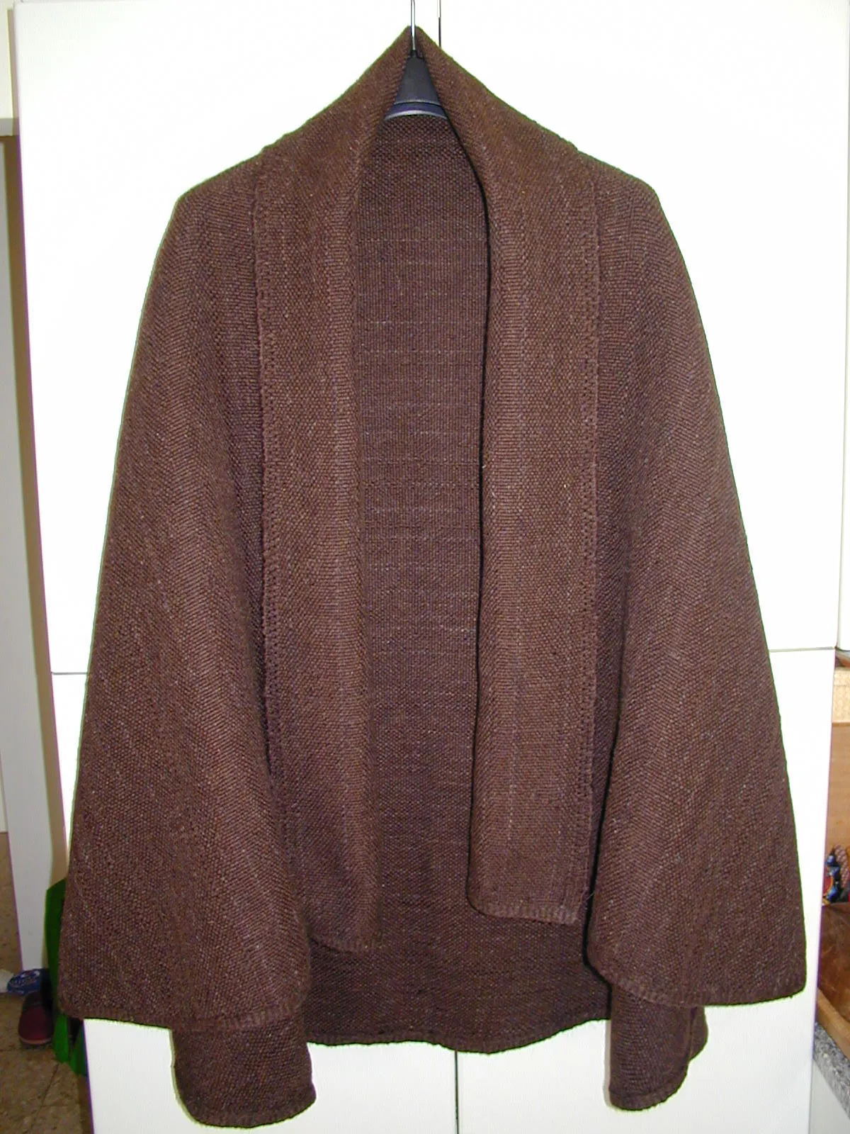 Terramara di Montale — 2004 — immagine 15