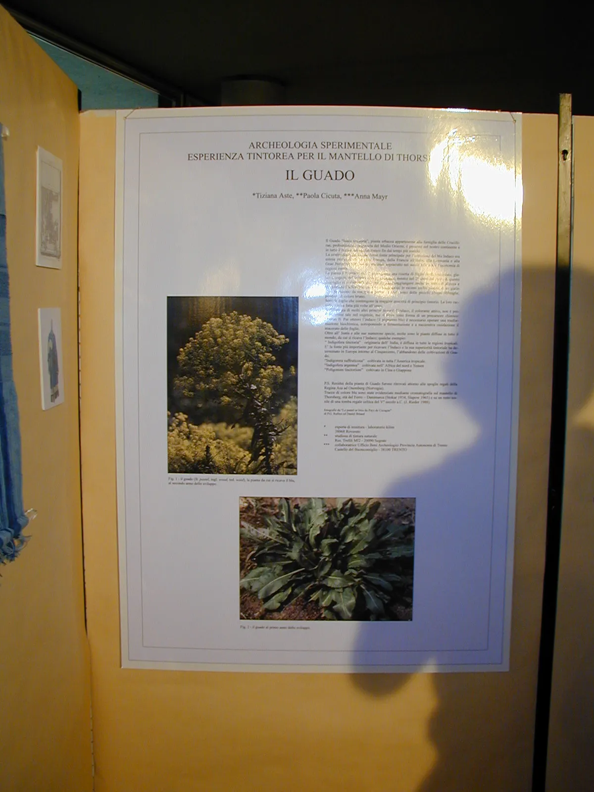 Parco Archeo Natura — Comano 2001 — immagine 10