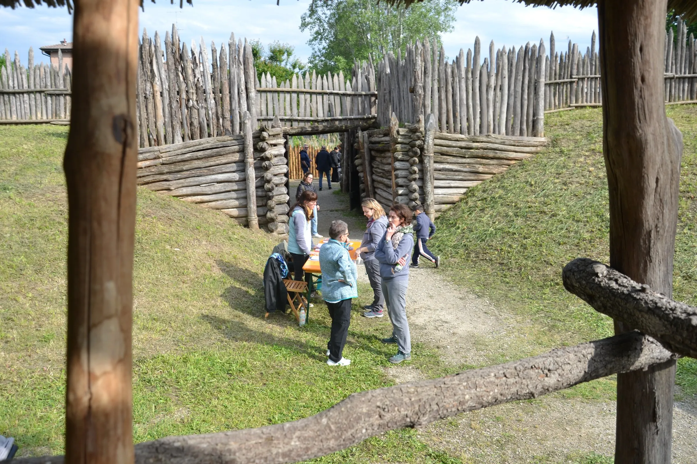 Terramara di Montale — 2024 — immagine 19