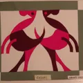 Cavalli incrociati