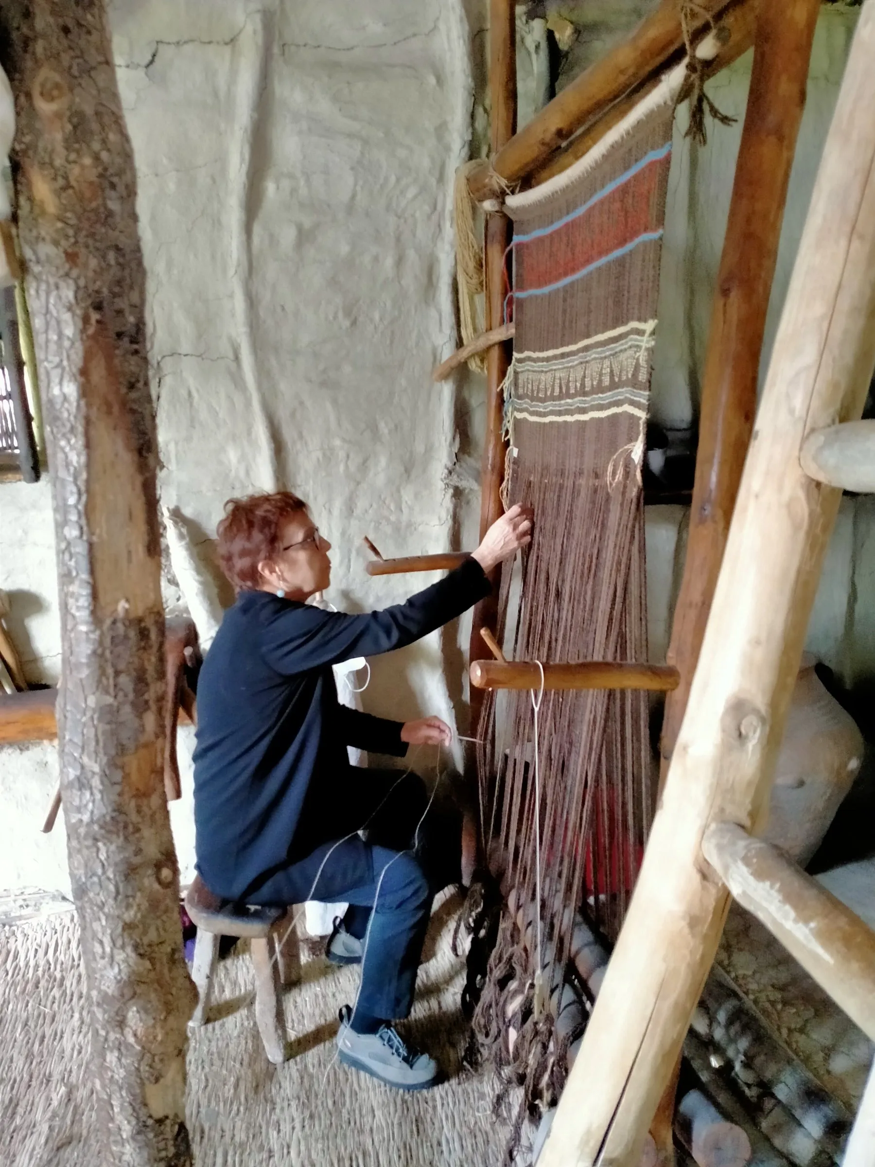 Terramara di Montale — 2020 — immagine 23