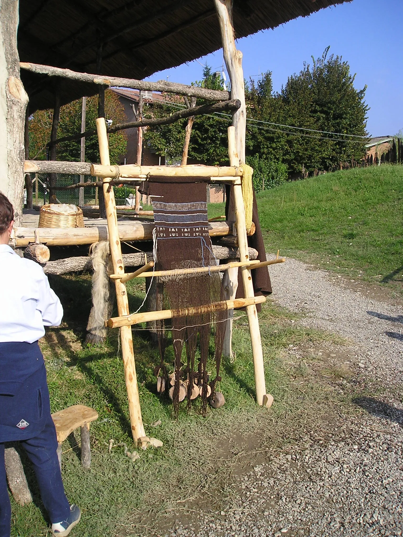 Terramara di Montale — 2002 — immagine 3
