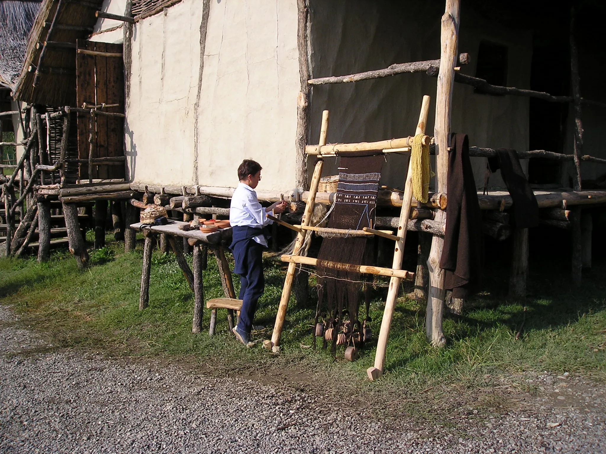Terramara di Montale — 2002 — immagine 4