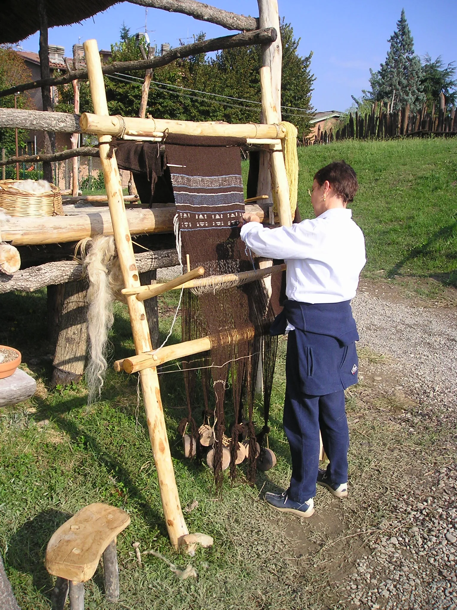 Terramara di Montale — 2002 — immagine 5