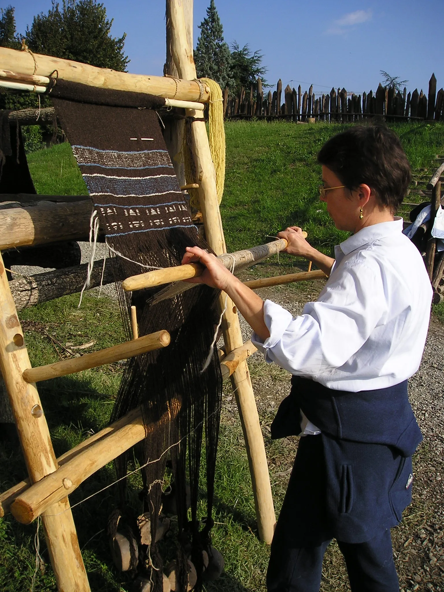 Terramara di Montale — 2002 — immagine 9