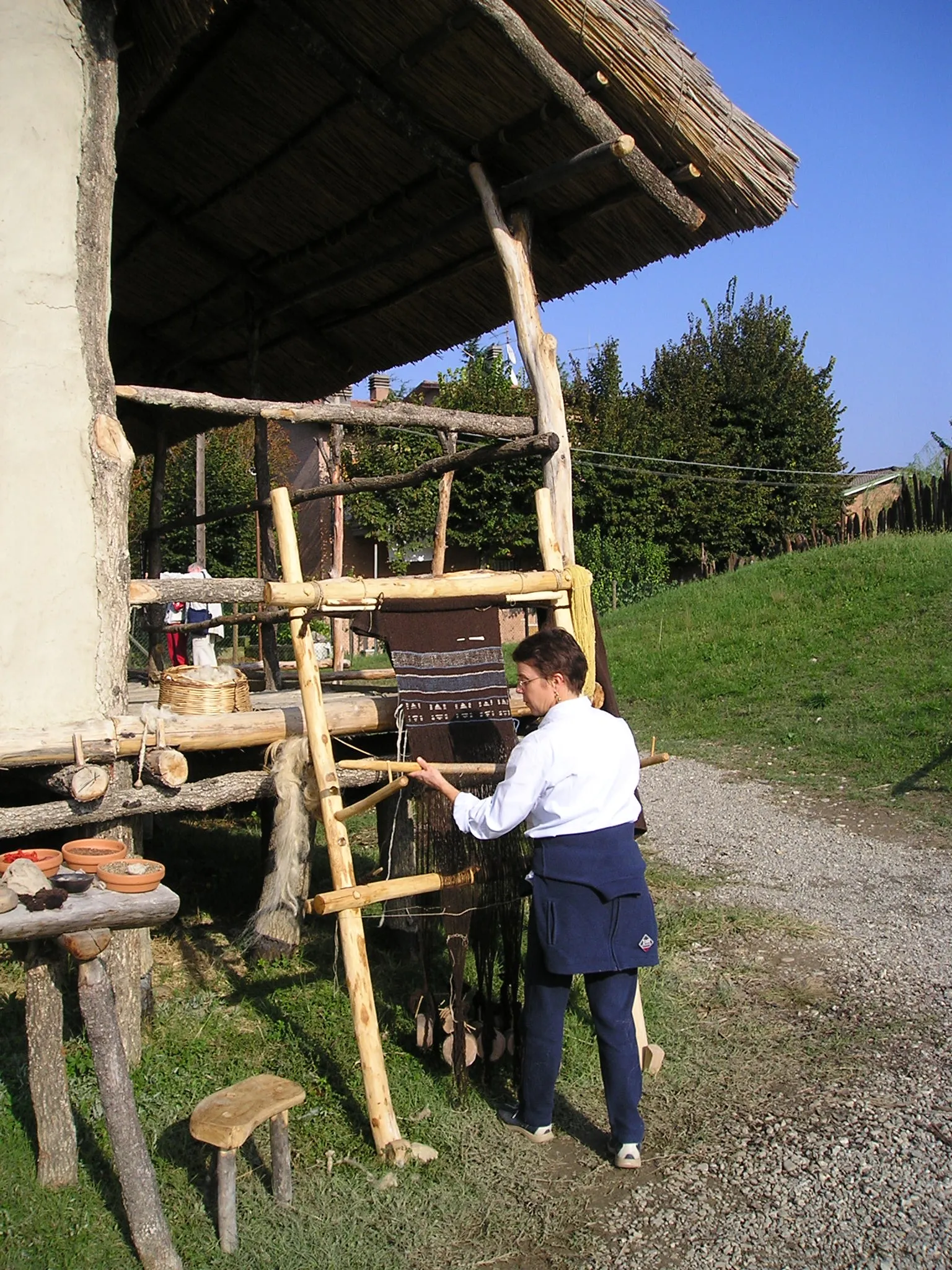 Terramara di Montale — 2002 — immagine 16