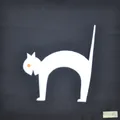 Gatto inarcato