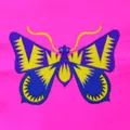Farfalla zig zag