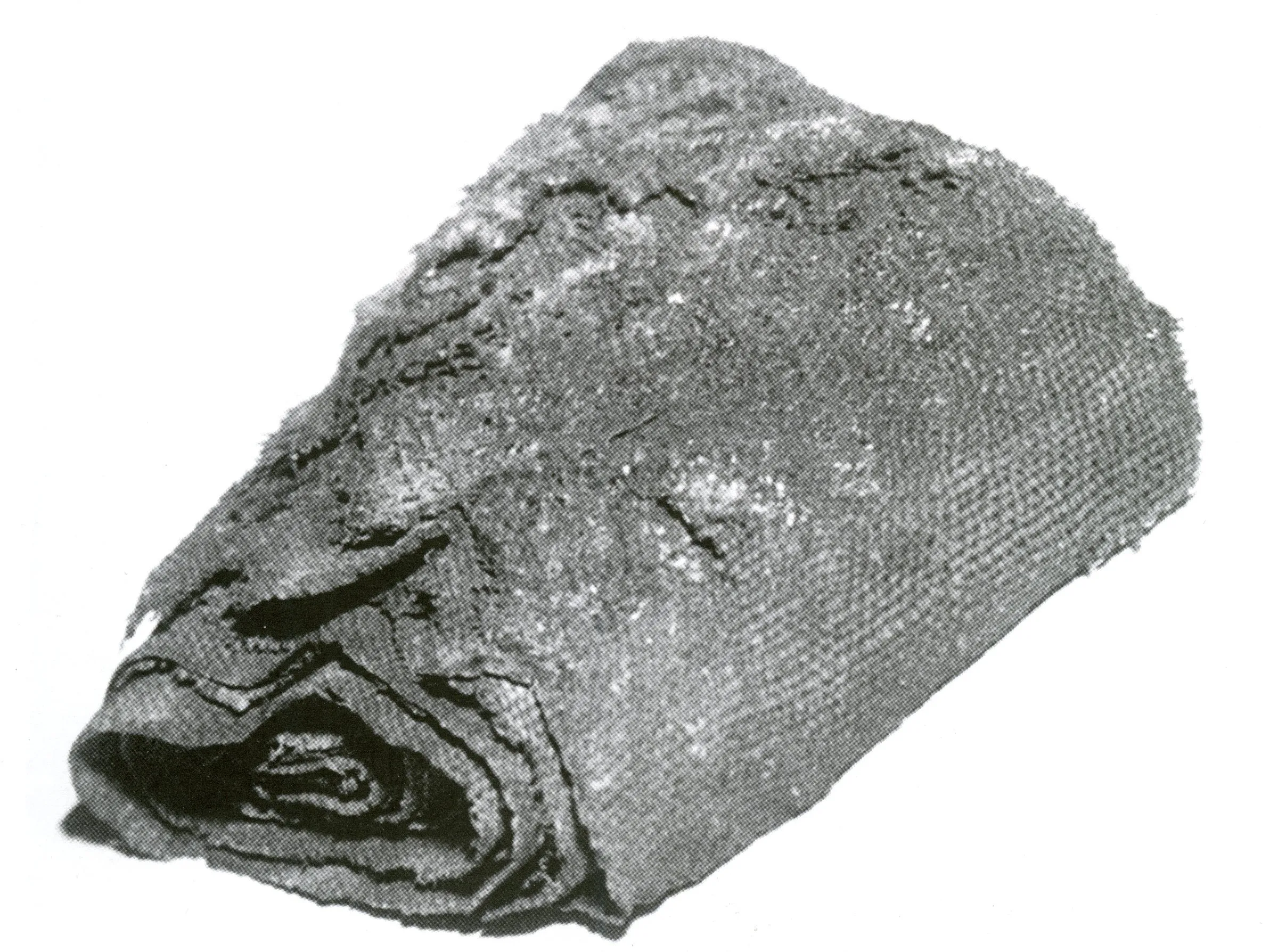 TEXTILES intrecci e tessuti dalla preistoria europea — Materiali fascia di Ledro — immagine 18