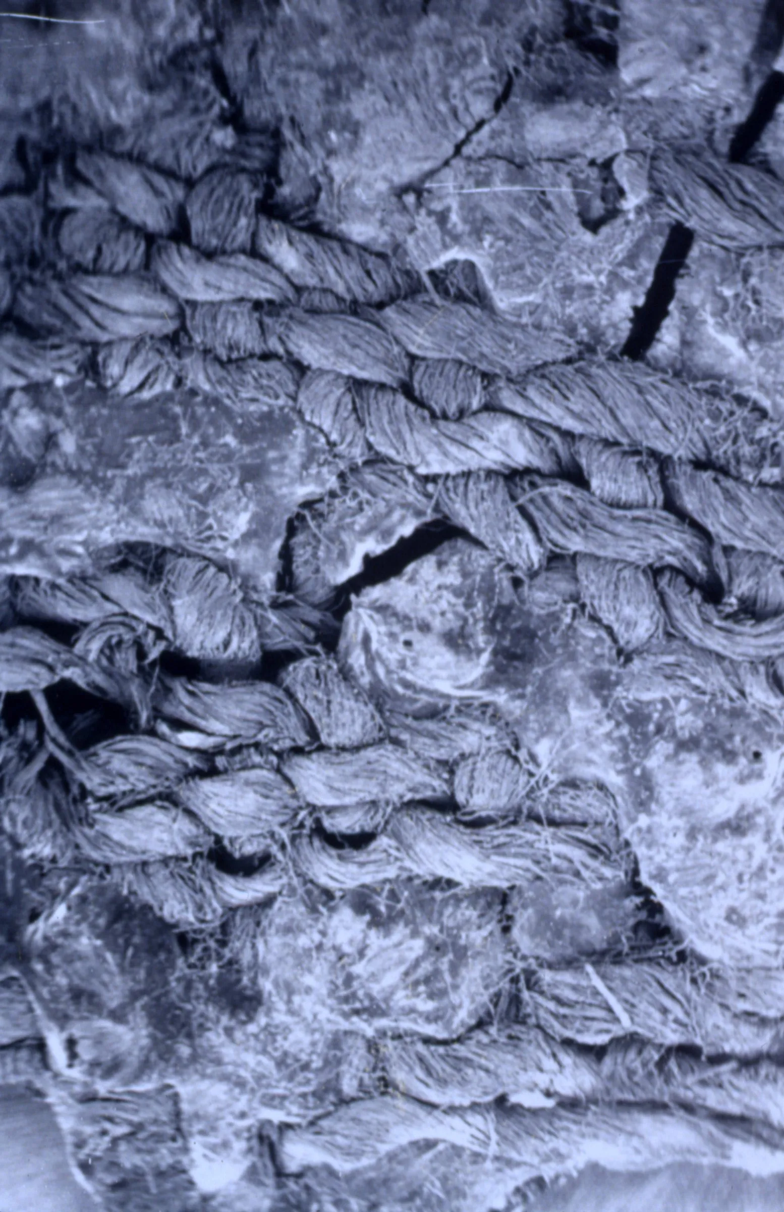 TEXTILES intrecci e tessuti dalla preistoria europea — Materiali fascia di Ledro — immagine 2