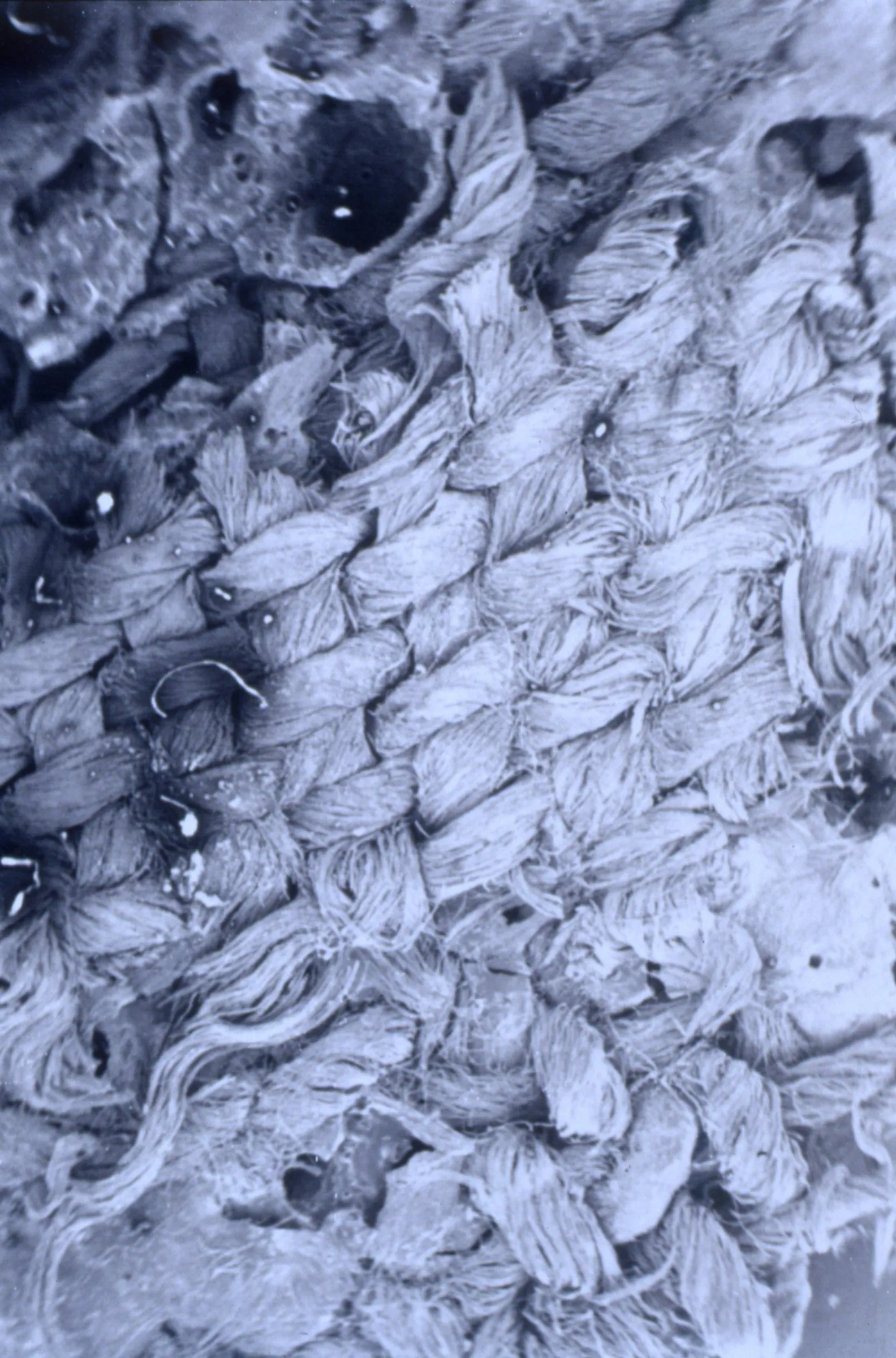 TEXTILES intrecci e tessuti dalla preistoria europea — Materiali fascia di Ledro — immagine 5