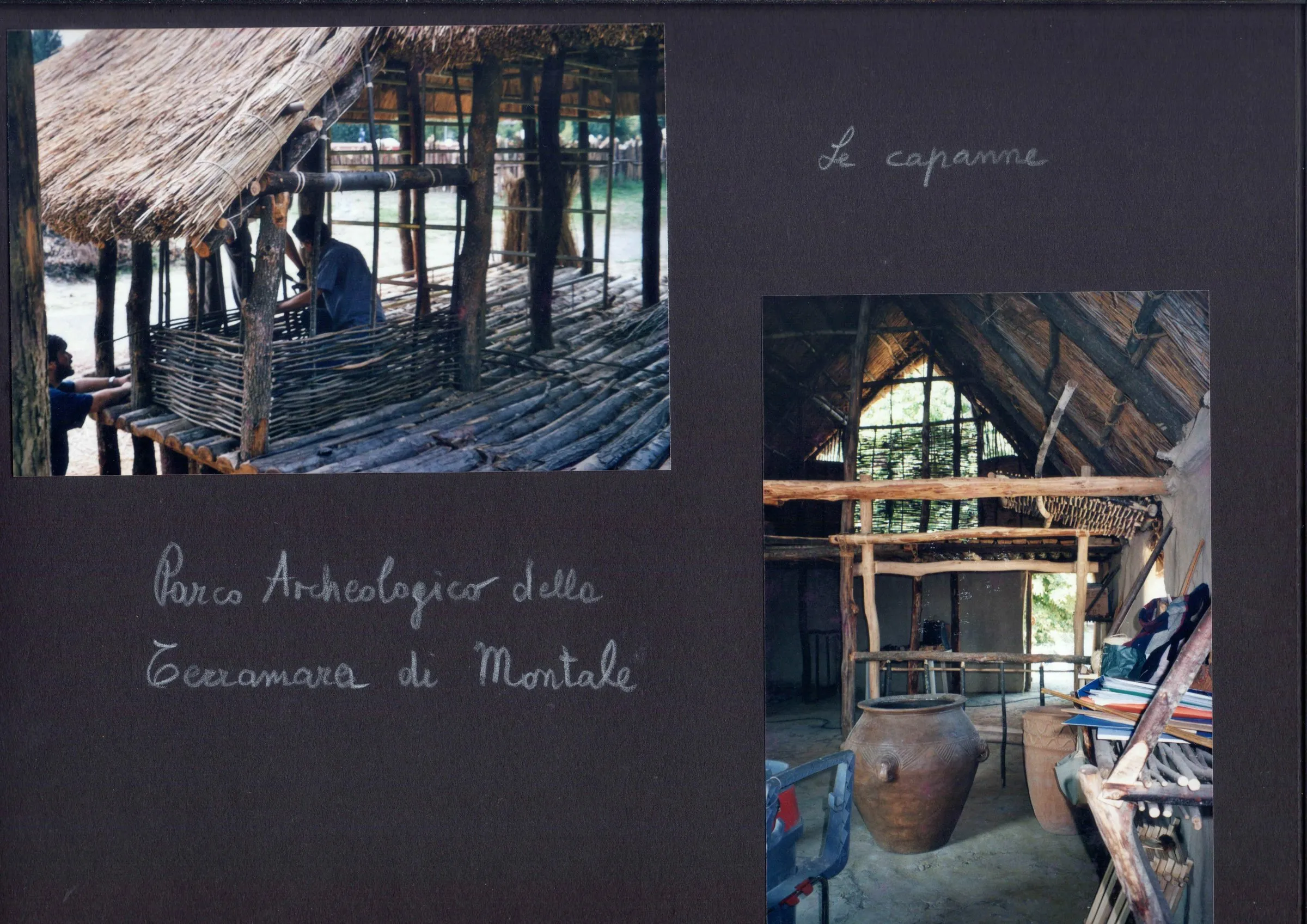 Terramara di Montale — Album — immagine 1