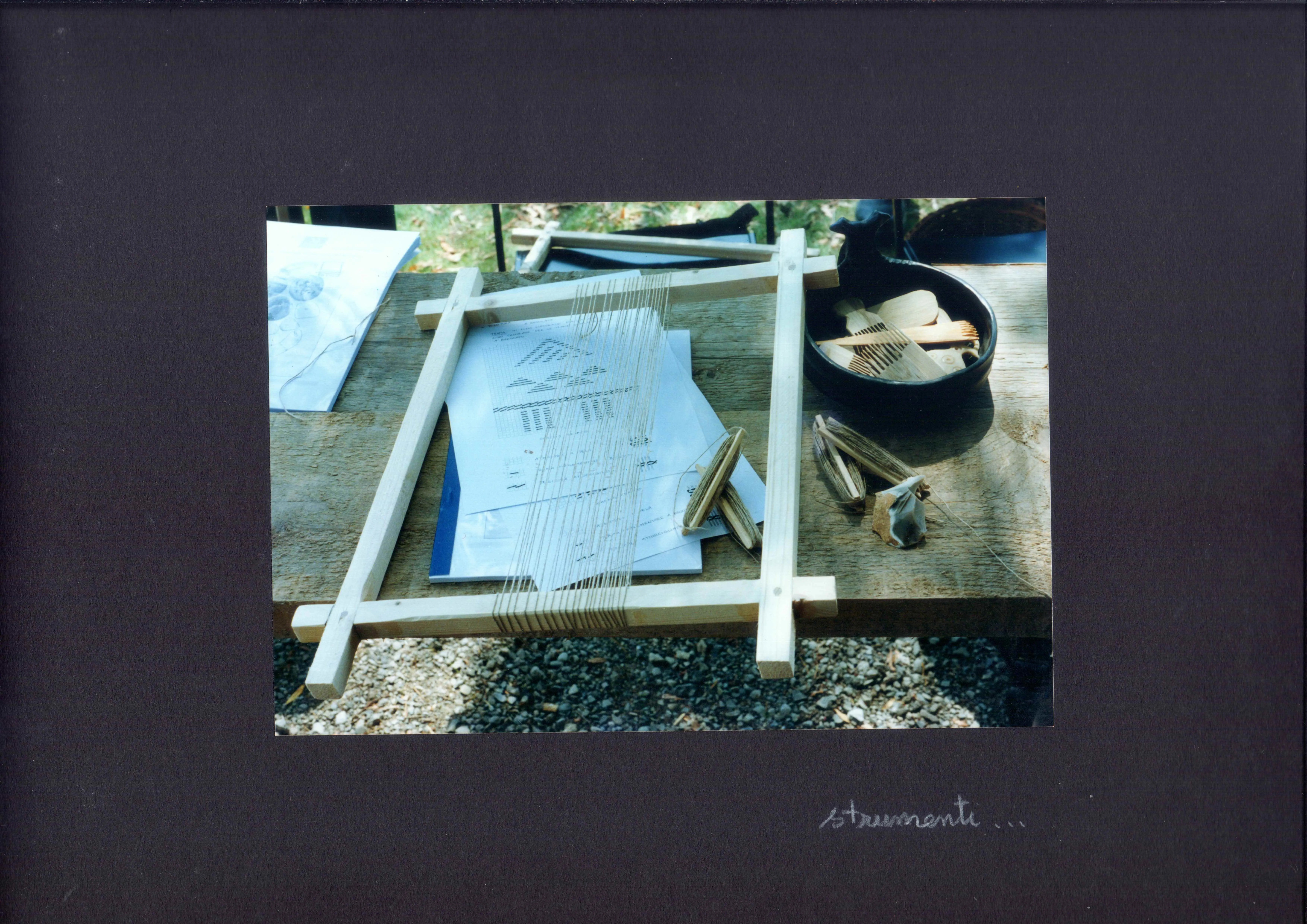 Terramara di Montale — Album — immagine 10