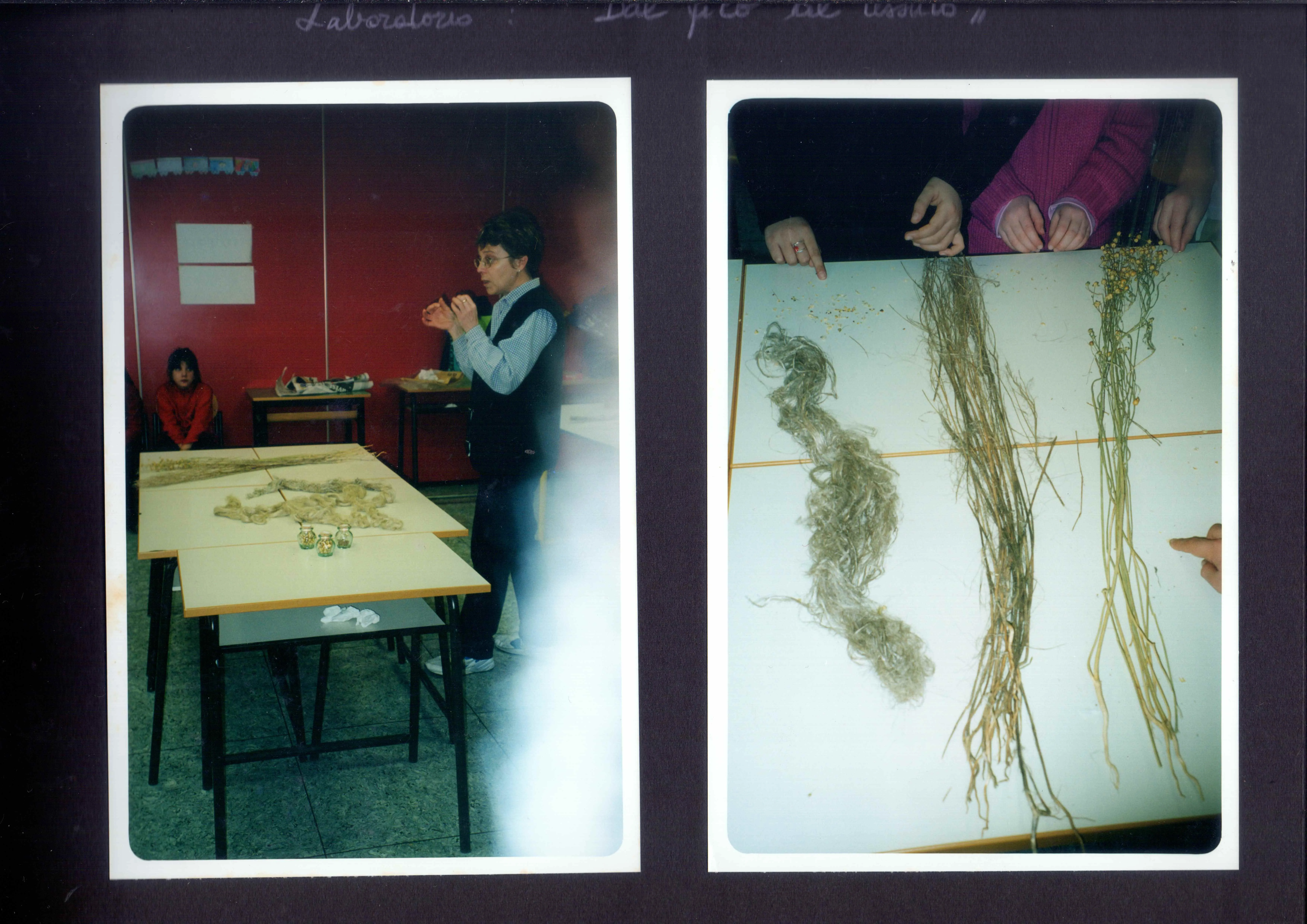 Scuola Primaria F.lli Filzi — Album — immagine 1