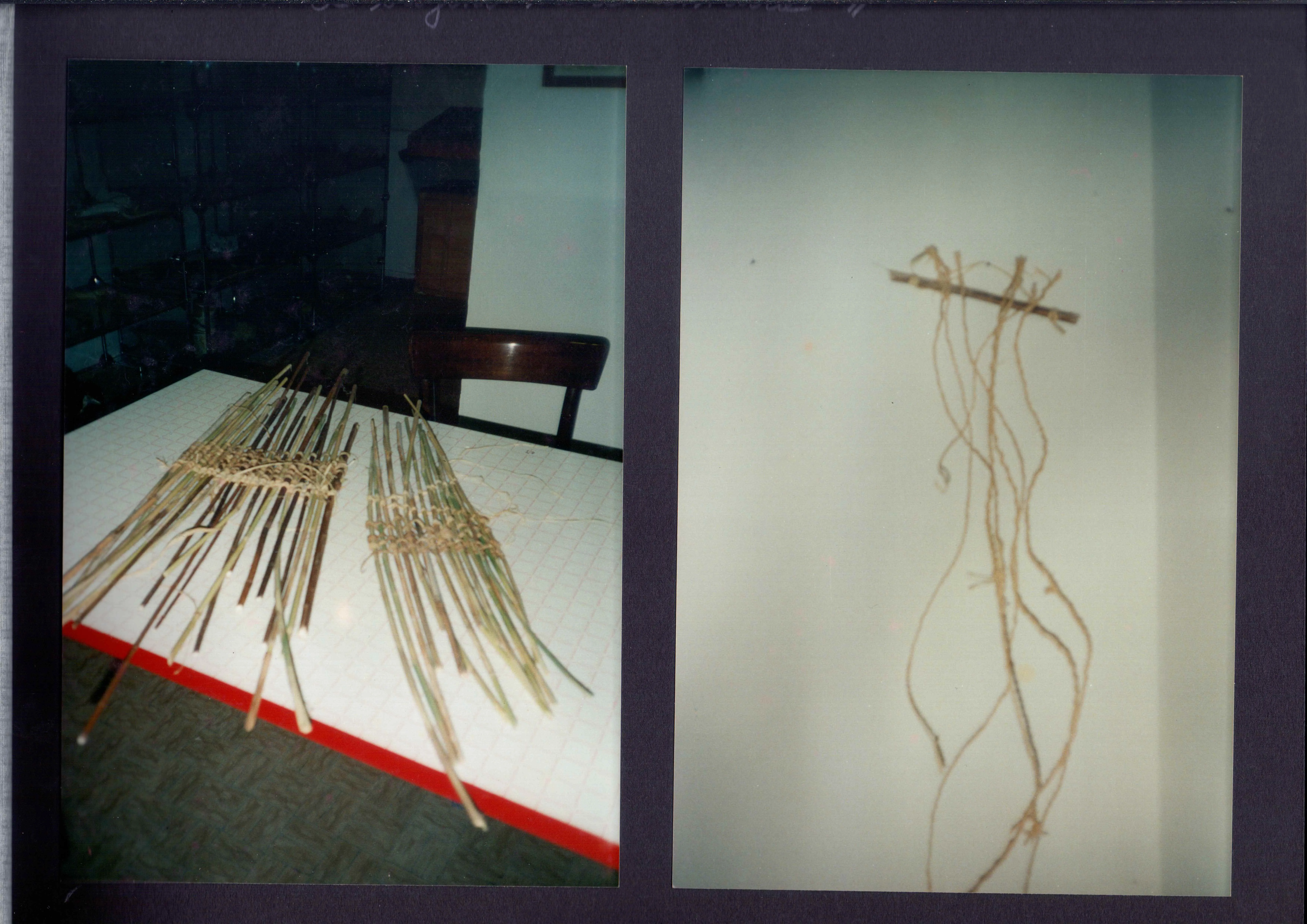 Museo Didattico Loppiensis — Album — immagine 1