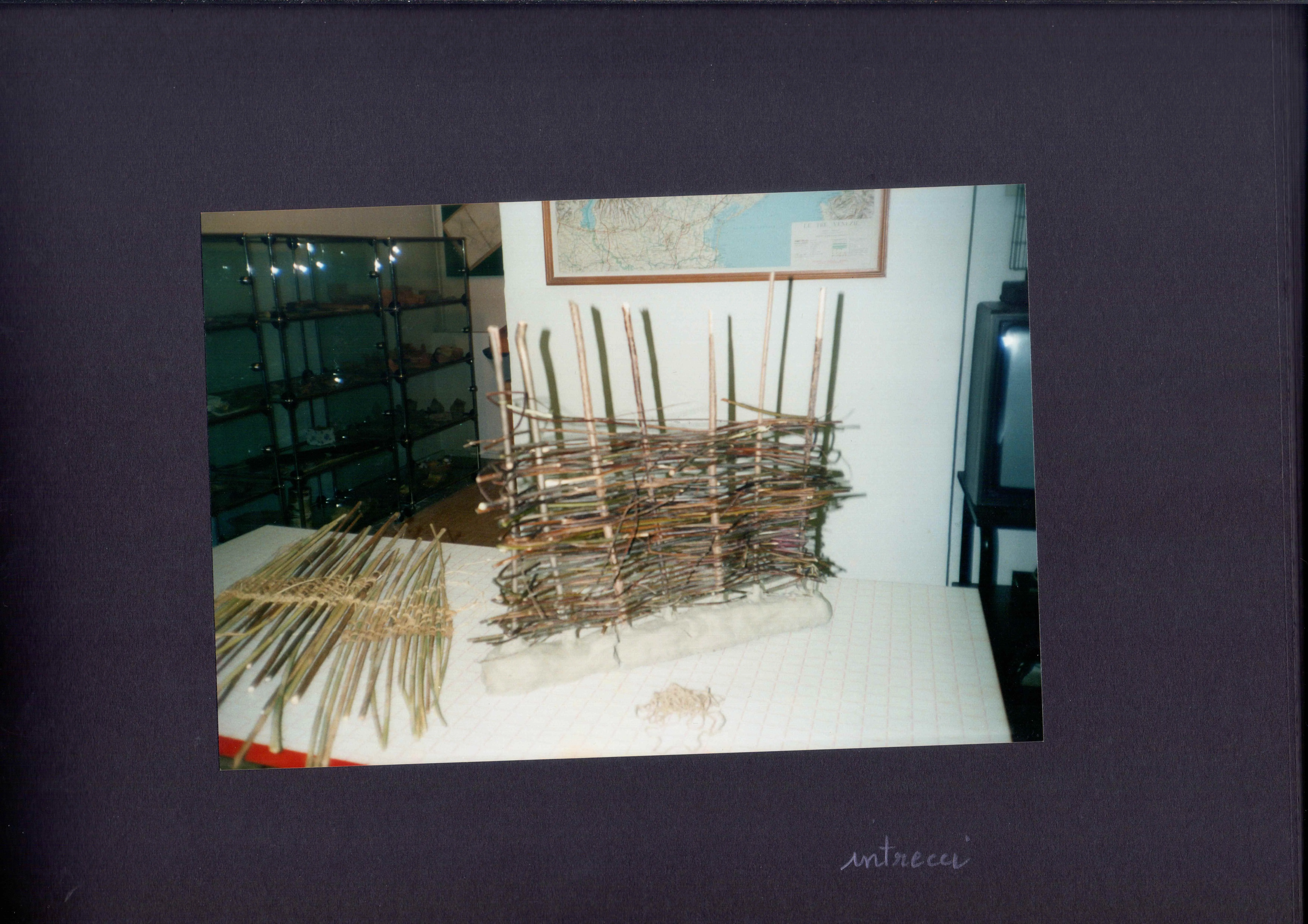 Museo Didattico Loppiensis — Album — immagine 2
