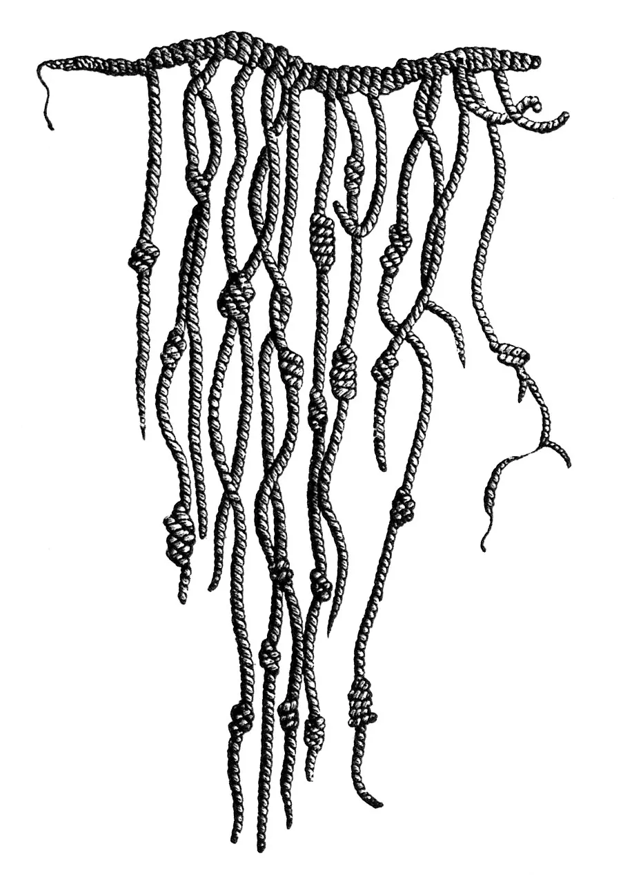 Cordicelle annodate di un quipu