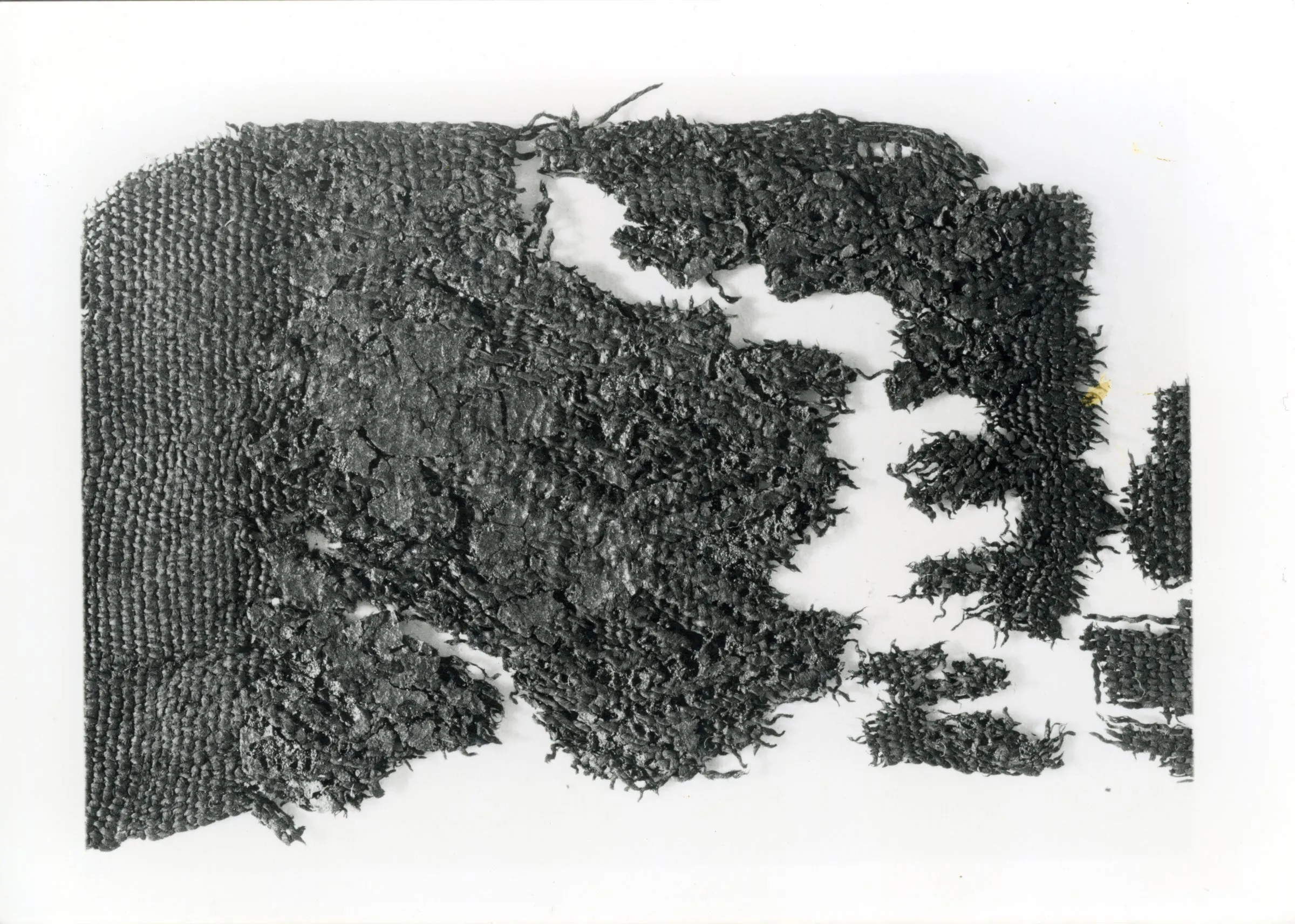 TEXTILES intrecci e tessuti dalla preistoria europea — Materiali fascia di Ledro — immagine 15