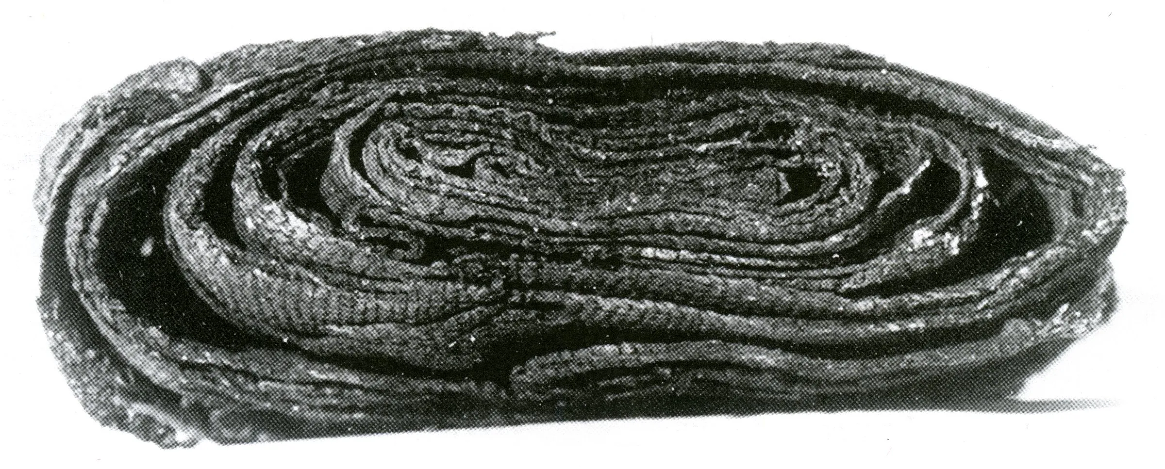 TEXTILES intrecci e tessuti dalla preistoria europea — Materiali fascia di Ledro — immagine 19